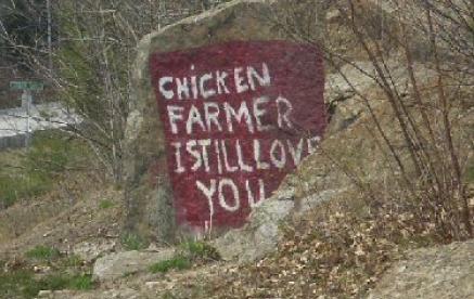 Chicken Farmer 9-26