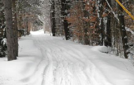 Snowmobile trail 12-17