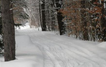 Snowmobile trail  12-19